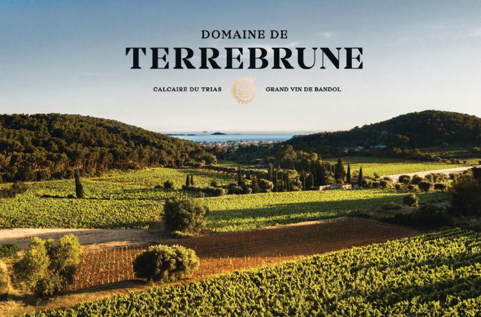 TSB-DOM DE TERRE BRUNE