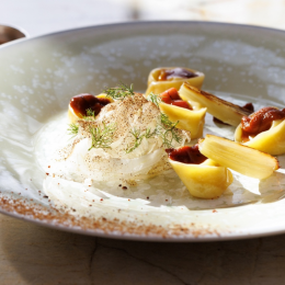 TSB- Domaine de Locguénolé plat