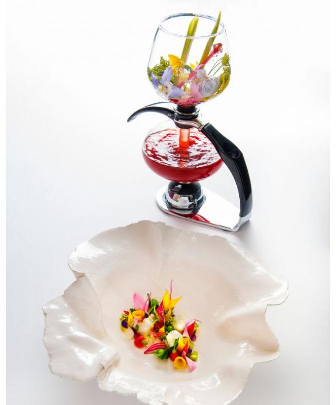 Mosaic-Alchimie Infusion